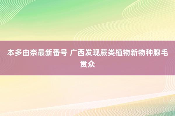 本多由奈最新番号 广西发现蕨类植物新物种腺毛贯众