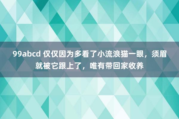 99abcd 仅仅因为多看了小流浪猫一眼，须眉就被它跟上了，唯有带回家收养