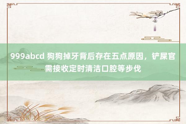 999abcd 狗狗掉牙背后存在五点原因，铲屎官需接收定时清洁口腔等步伐