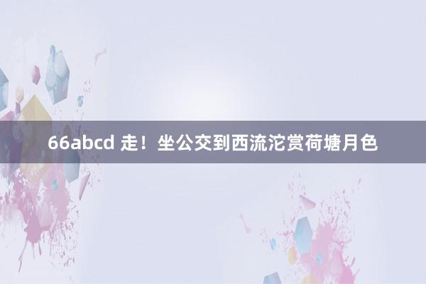 66abcd 走！坐公交到西流沱赏荷塘月色