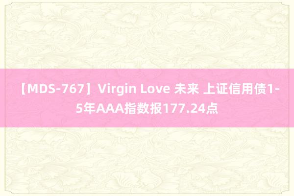 【MDS-767】Virgin Love 未来 上证信用债1-5年AAA指数报177.24点