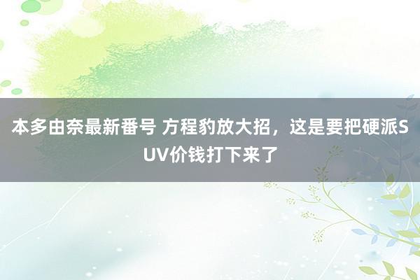 本多由奈最新番号 方程豹放大招，这是要把硬派SUV价钱打下来了