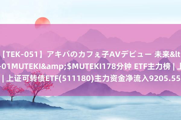 【TEK-051】アキバのカフぇ子AVデビュー 未来</a>2013-08-01MUTEKI&$MUTEKI178分钟 ETF主力榜 | 上证可转债ETF(511180)主力资金净流入9205.55万元，居全市集第一梯队