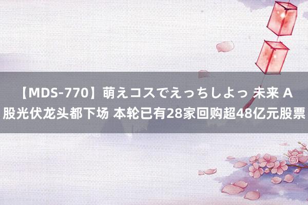 【MDS-770】萌えコスでえっちしよっ 未来 A股光伏龙头都下场 本轮已有28家回购超48亿元股票