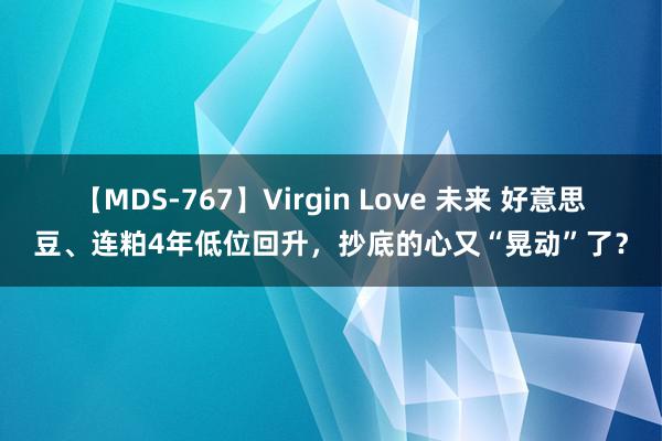 【MDS-767】Virgin Love 未来 好意思豆、连粕4年低位回升，抄底的心又“晃动”了？