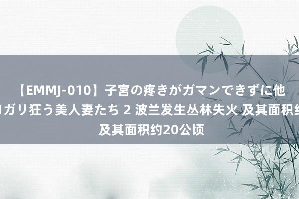 【EMMJ-010】子宮の疼きがガマンできずに他人棒でヨガリ狂う美人妻たち 2 波兰发生丛林失火 及其面积约20公顷