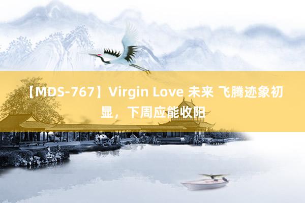 【MDS-767】Virgin Love 未来 飞腾迹象初显，下周应能收阳