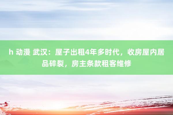 h 动漫 武汉：屋子出租4年多时代，收房屋内居品碎裂，房主条款租客维修