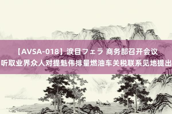 【AVSA-018】涙目フェラ 商务部召开会议听取业界众人对提魁伟排量燃油车关税联系见地提出