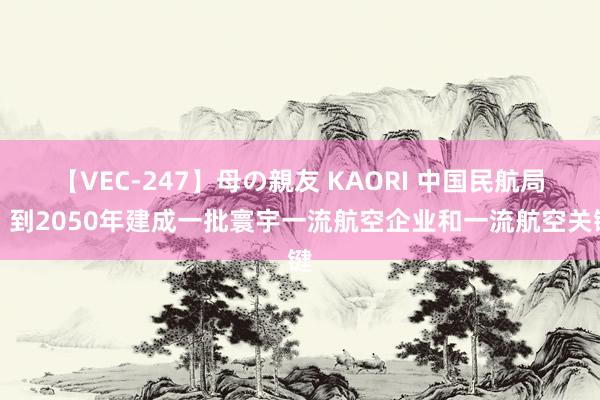 【VEC-247】母の親友 KAORI 中国民航局：到2050年建成一批寰宇一流航空企业和一流航空关键