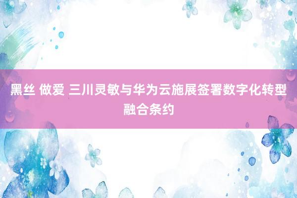 黑丝 做爱 三川灵敏与华为云施展签署数字化转型融合条约