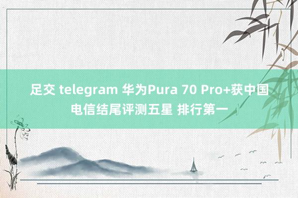 足交 telegram 华为Pura 70 Pro+获中国电信结尾评测五星 排行第一