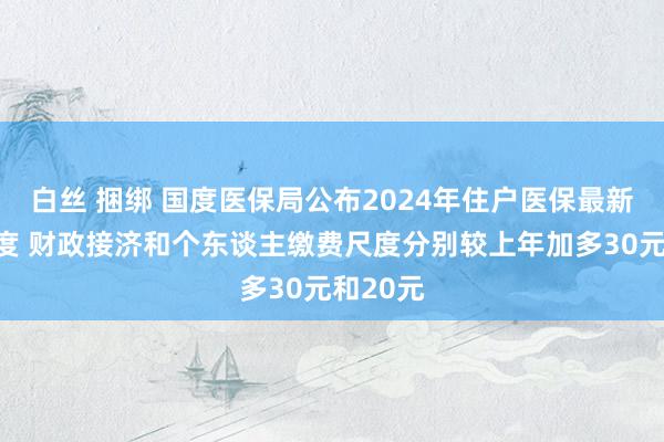 白丝 捆绑 国度医保局公布2024年住户医保最新缴费尺度 财政接济和个东谈主缴费尺度分别较上年加多30元和20元